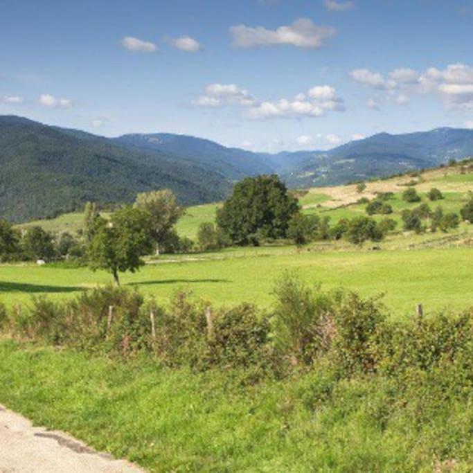 Agreable Maison De Village Avec Balcon Roiffieux Luaran gambar